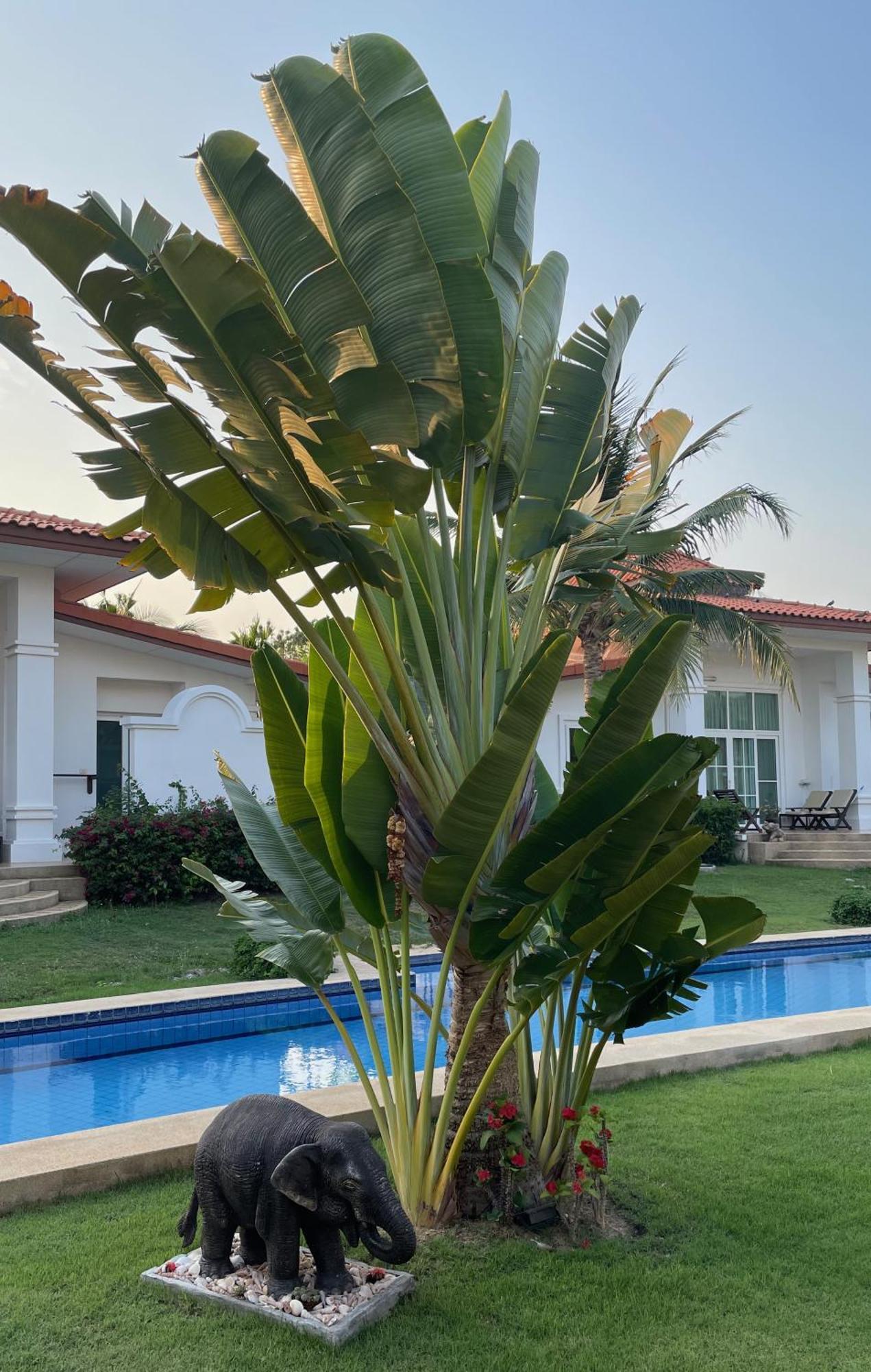 Villa Bougainvillea HHQ Buitenkant foto